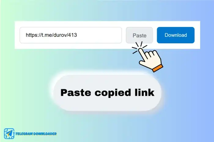 Paste the link into the downloader box